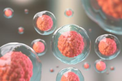 Pink and transparent science cells